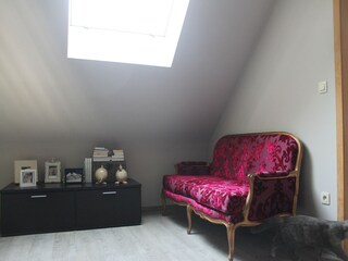 Type de propriété : Ferme Geel Équipement 29