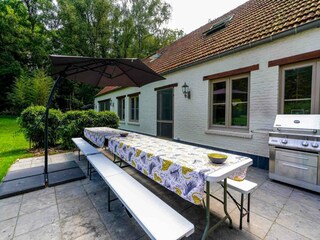 Boerderij Geel Buitenaudio-opname 12