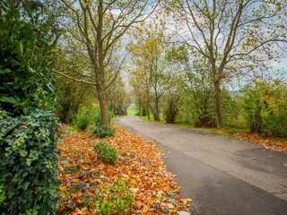 Appartamento Durbuy Ambiente 35