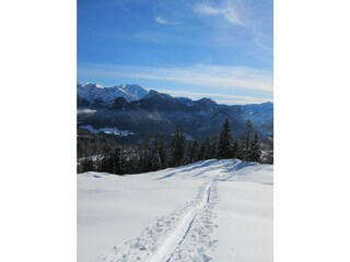 walk in the snow
