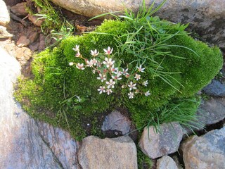 Appartamento per vacanze St. Martin bei Lofer Registrazione all'aperto 7