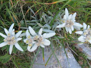 Appartamento per vacanze St. Martin bei Lofer Registrazione all'aperto 3