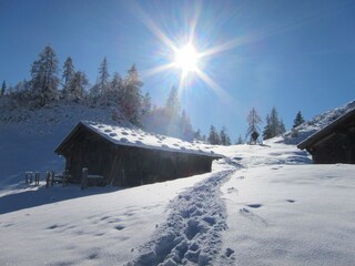 Spuren im Schnee