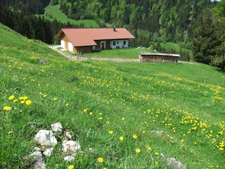 Kaiserwinkl, Walchsee, Goglalm 1