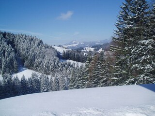 Kaiserwinkl, Walchsee, Goglalm 8