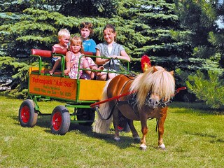 Casa per le vacanze Plau am See  24