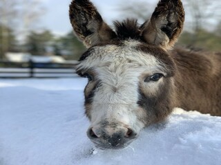 Casa per le vacanze Plau am See Ambiente 17