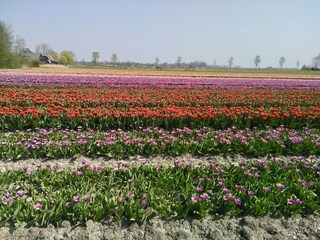 Vakantiehuis Sint Maartenszee Omgeving 14