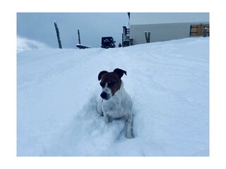 Appartamento per vacanze Obermaiselstein Ambiente 23