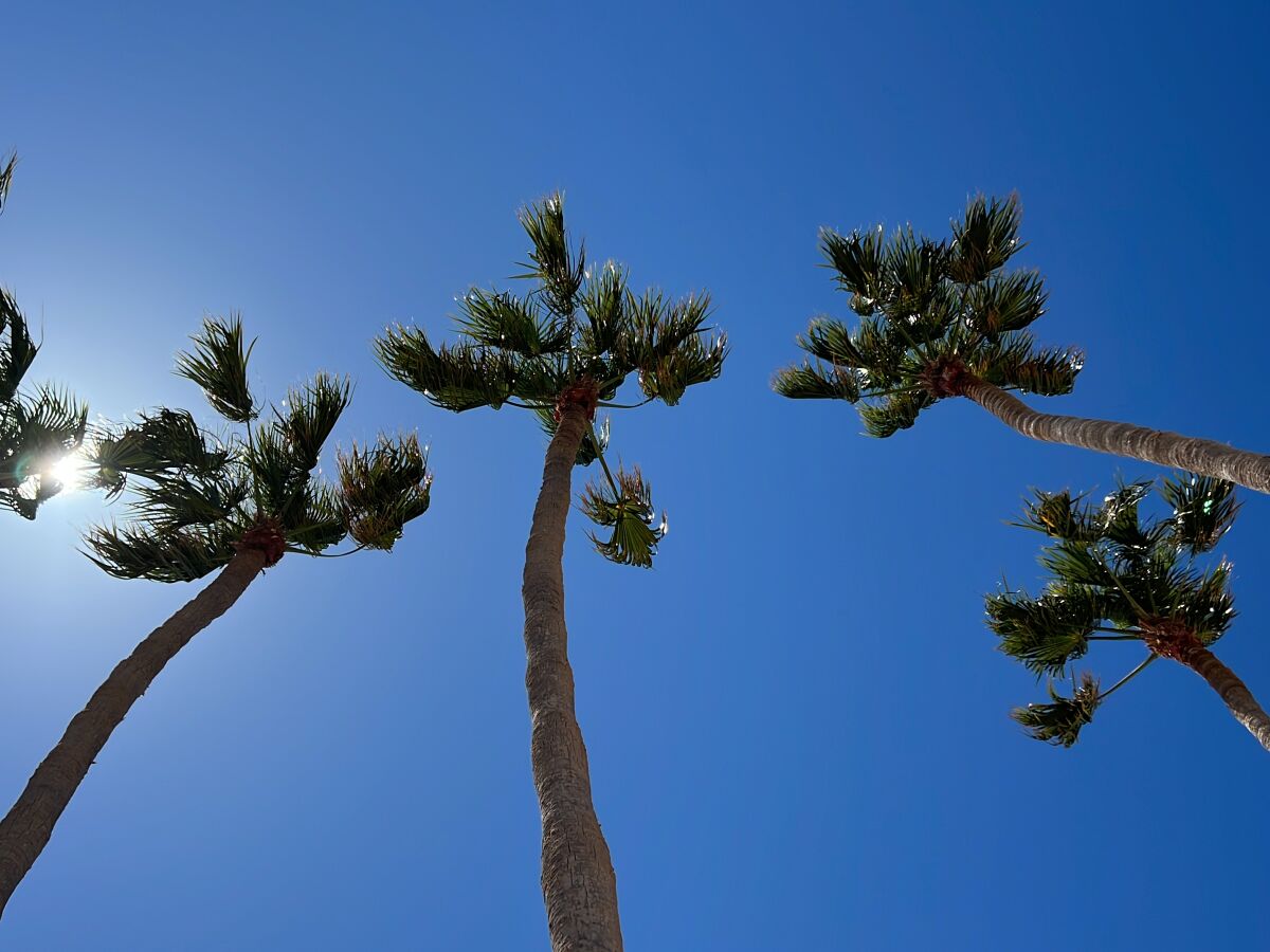 Der Blick aus der Strandbar in den Himmel