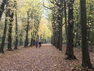 Casa per le vacanze Oostkapelle Ambiente 23