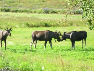 Holiday house Verran  19