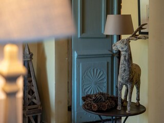 Vakantiehuis Labeaume Kenmerken 26