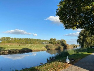 Vakantiehuis Sint-Maartensdijk Omgeving 36