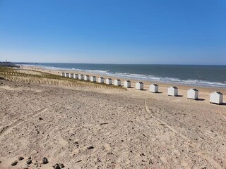 Vakantiepark Cadzand-Bad Omgeving 11