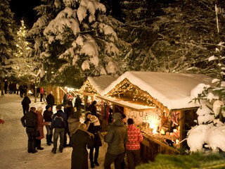 Apartamento de vacaciones Mayrhofen Entorno 35