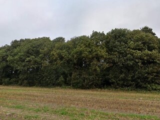 Vakantiehuis Hovborg  48