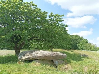 Holiday house Hovborg  36