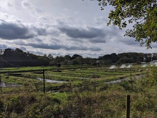 Casa de vacaciones Hovborg  18