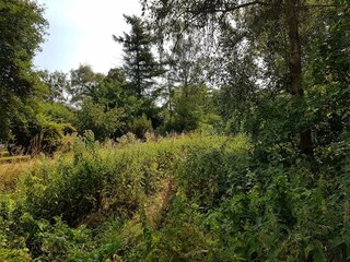 Vakantiehuis Ulvshale  19