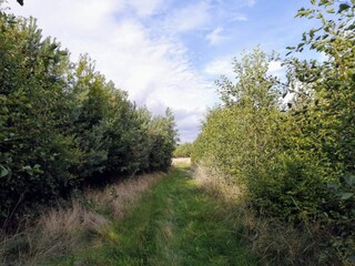 Vakantiehuis Ulvshale  22