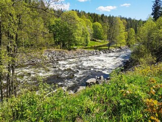 Ferienhaus Bengtsfors  20
