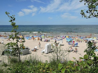 Ferienpark Kołczewo  19