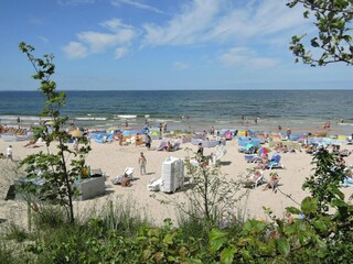 Parco vacanze Kołczewo  18