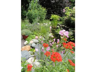 sonnenterrasse, blumen &  biotop