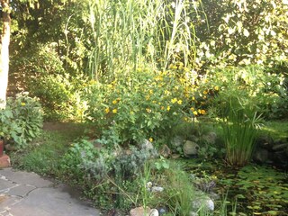 Holiday apartment Seeboden Outdoor Recording 5