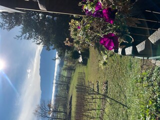 Appartamento per vacanze Seeboden Ambiente 21