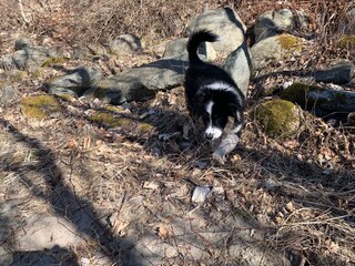 Holiday apartment Seeboden Environment 23