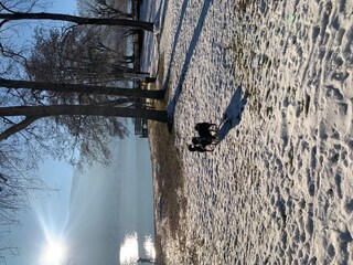 Holiday apartment Seeboden Environment 24