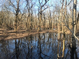 Chalet Serooskerke Ambiente 17