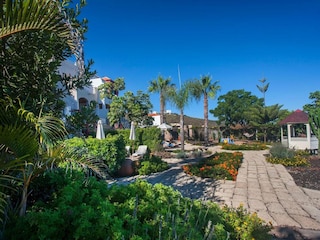 Apartment San Miguel de Abona Outdoor Recording 8