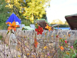 Holiday house Salviac  34