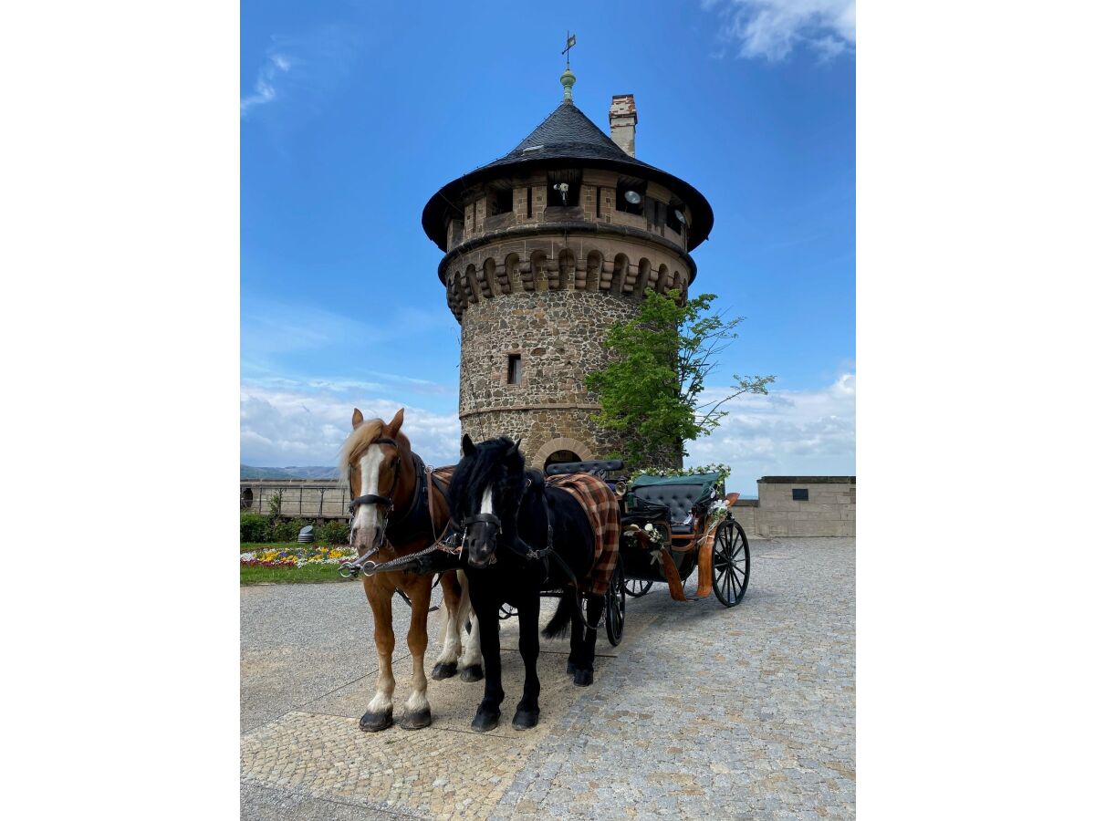 Kutsche auf dem Schlosshof