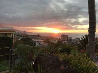 Sundowner at bar albertos