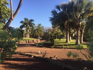 Vakantieappartement Puerto de la Cruz Omgeving 26