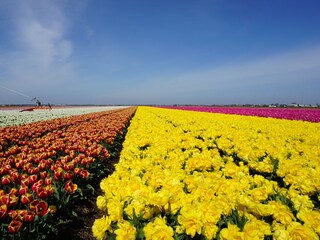 Holiday house Julianadorp Environment 23