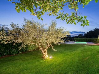 Villa Višnjan Omgeving 34