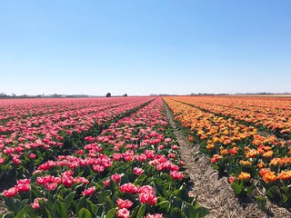 Casa per le vacanze Den Helder Ambiente 25