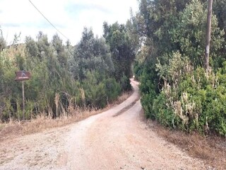 Villa Lagos Ambiente 26