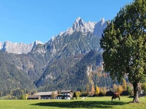 Apartment Wohnung in Saalfelden mit Leogang Card - Saalfelden - image1