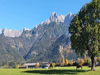Apartment Saalfelden Outdoor Recording 3