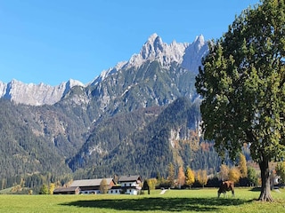 Appartement Saalfelden Buitenaudio-opname 2