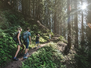 Apartment Saalfelden Umgebung 19