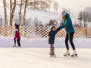 Appartement Saalfelden Environnement 36
