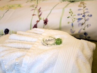 Apartamento Saalfelden Características 15