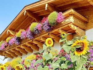 Apartment Saalfelden Outdoor Recording 6